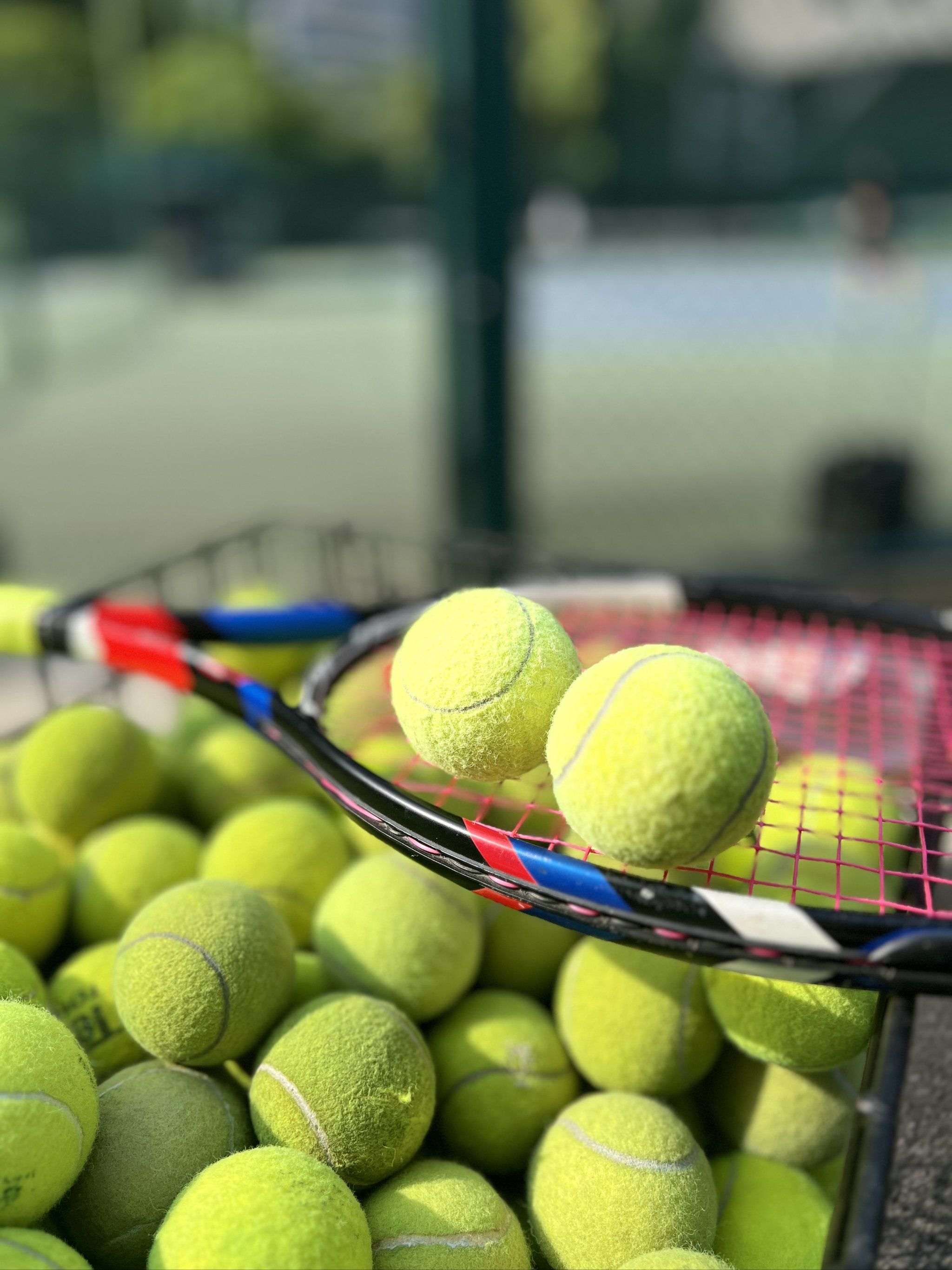 赛事的传播 赛事的传播