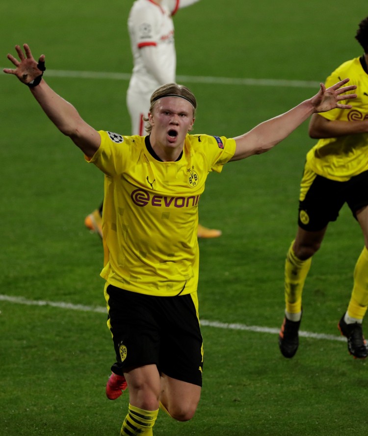 青训体系的 青训体系的